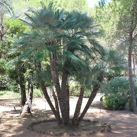 La Pineta Cavo